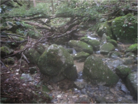 画像51